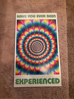 Have You Ever Been Experienced — Psychedelic Rainbow Wall Art Poster 13x22